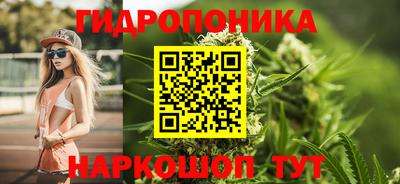 скорость Можга