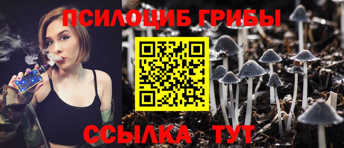 Галлюциногенные грибы Psilocybe Белогорск